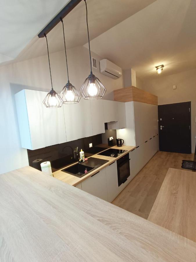 Apartamenty Na Poddaszu- Tatarska 4 プシェムィシル エクステリア 写真